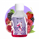 Fruits Rouges Grenade Fraises des bois acidulées 200ml - Biggy Bear