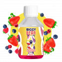 Limonade Fruits Rouges 200ml - Biggy Bear