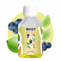 Limonade Citron Vert Myrtilles Sauvages 200ml - Biggy Bear