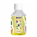 Limonade Citron Vert Myrtilles Sauvages 200ml - Biggy Bear