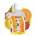 Melon Fruit du Dragon 200ml - Biggy Bear