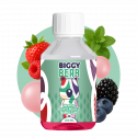 Menthe Fruits Rouges Bubble Gum 200ml - Biggy Bear