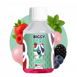 Menthe Fruits Rouges Bubble Gum 200ml - Biggy Bear