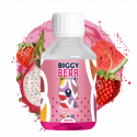Pitaya Fraise Pastèque 200ml - Biggy Bear