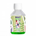 Pomme Cerise Bubble Gum 200ml - Biggy Bear