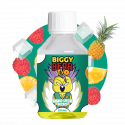 Ananas Litchi Givrés 200ml - Biggy Bear EVO
