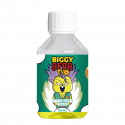 Ananas Litchi Givrés 200ml - Biggy Bear EVO