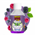 Fusion de baies sauvages 200ml - Biggy Bear EVO