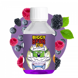 Fusion de baies sauvages 200ml - Biggy Bear EVO