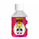 Sorbet Fraise Fruit du Dragon 200ml - Biggy Bear EVO