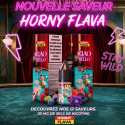 Ciao Bello Salt 10ml Horny Flava (10 pièces)