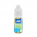 Wild Berries Ice 10ml - JNR (10 pièces)