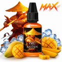 Concentré Raiden MAX 30ml Ultimate - Arômes et Liquides (5 pièces)