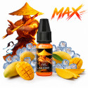Concentré Raiden MAX 10ml Ultimate - Arômes et Liquides (10 pièces)