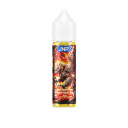 Strawberry Watermelon Ice 50ml - JNR