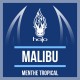 Concentré Malibu 10ml Halo (10 pièces)